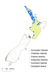 Azolla pinnata distribution map based on databased records at AK, CHR and WELT.
 Image: K. Boardman © Landcare Research 2014 CC BY 3.0 NZ